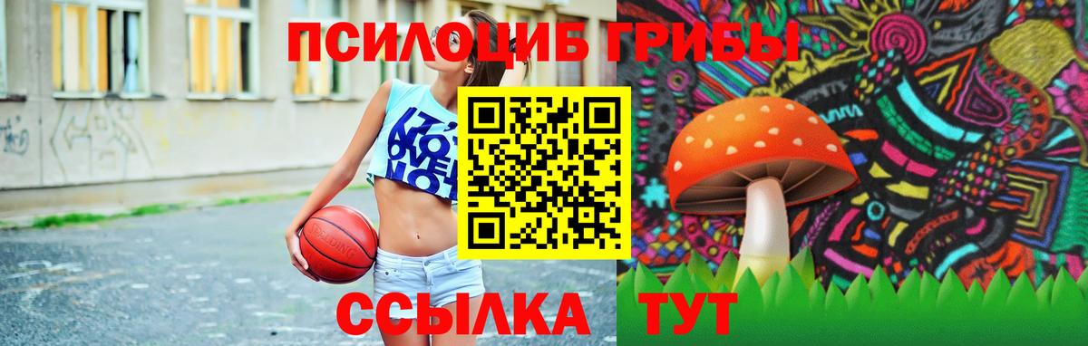 Галлюциногенные грибы прущие грибы Азов
